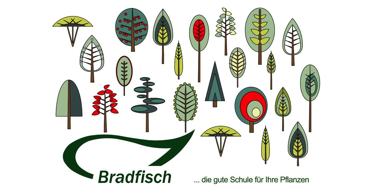 (c) Bradfisch.de